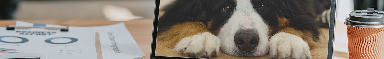 Dataskjerm med personlig bakgrunn Dataskjerm med personlig bakgrunn